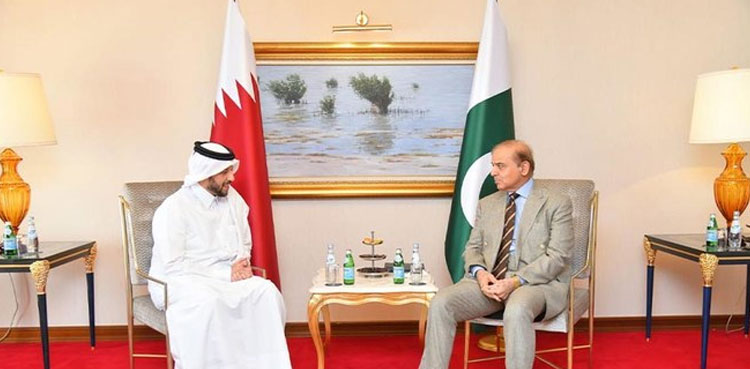 qatar-expresses-keen-interest-for-investment-in-pakistan-s-multiple-sectors