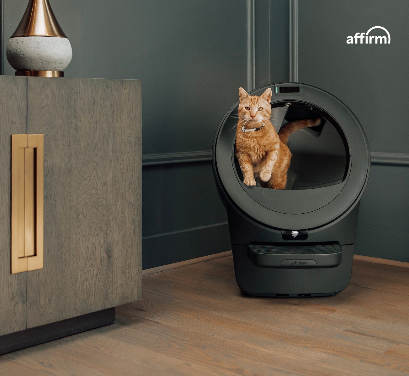 whisker-unveils-ai-powered-litter-robot-that-recognizes-your-cat-s-face-and-poop
