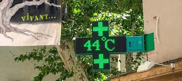 france-roasts-in-record-heatwave-two-die-in-spain