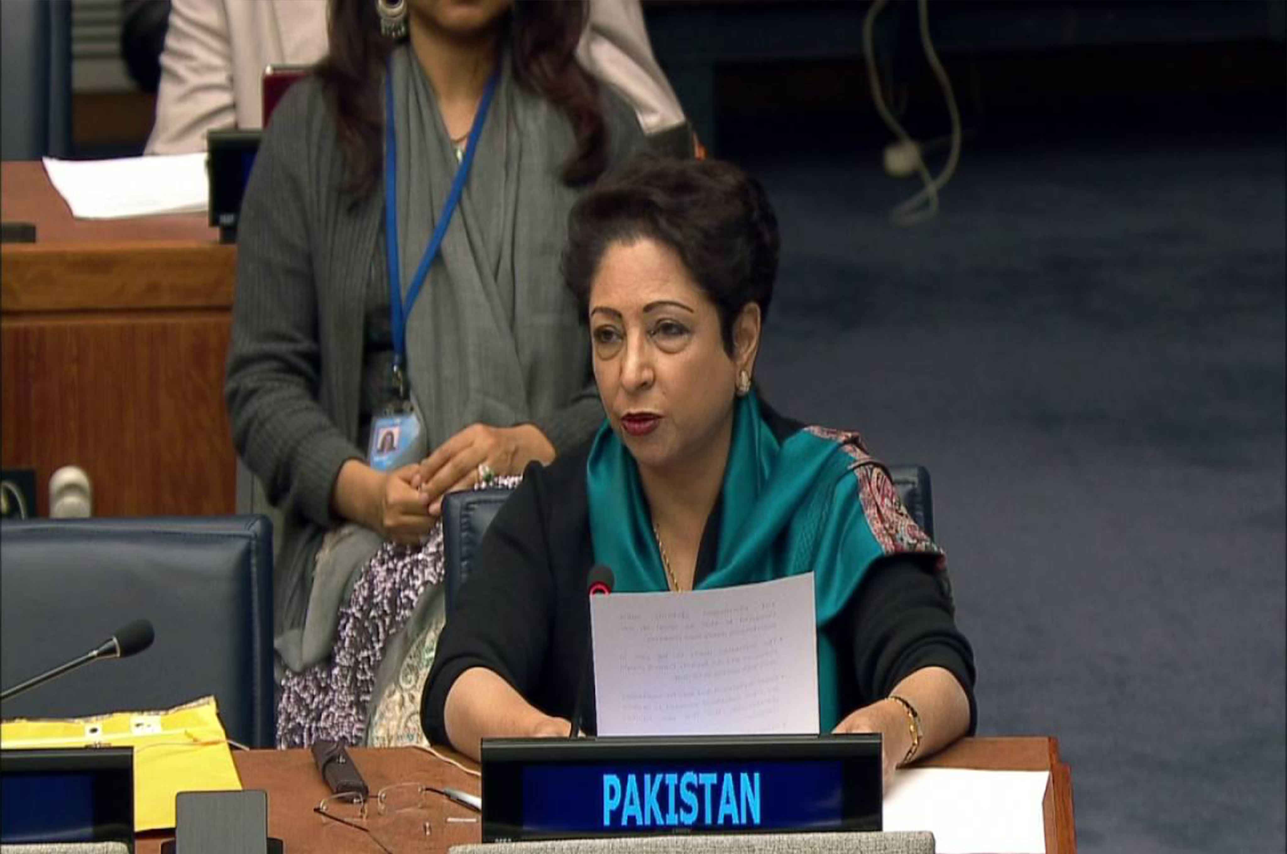 maleeha-lodhi-unanimously-elected-as-vice-president-of-key-un-body