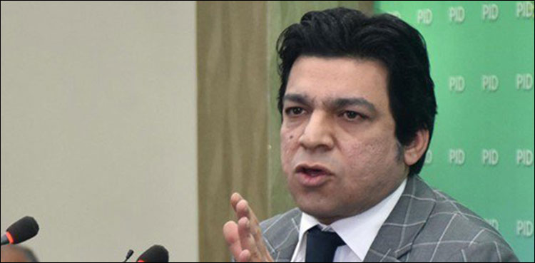 plea-in-shc-seeks-disqualification-of-vawda-over-alleged-dual-nationality