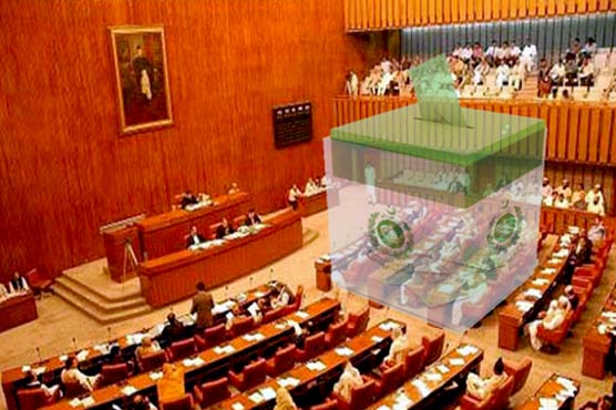pml-n-shortlists-candidates-for-senate-elections