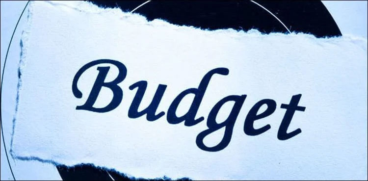 budget-2021-22-kp-proposes-increase-in-salaries-of-govt-employees