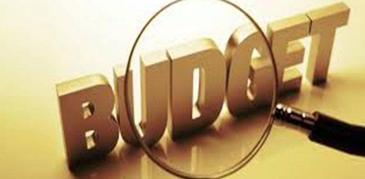 budget-2021-22-to-include-no-new-taxes-on-salaried-person-raise-in-salaries