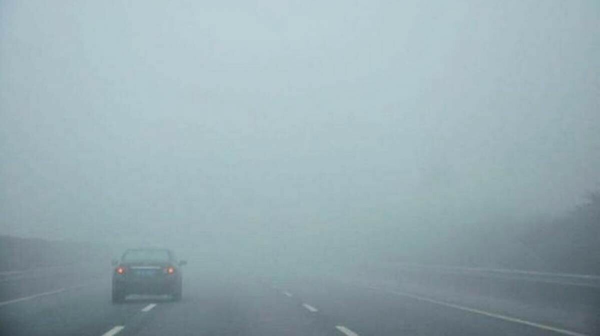 dense-fog-disrupts-road-traffic-in-parts