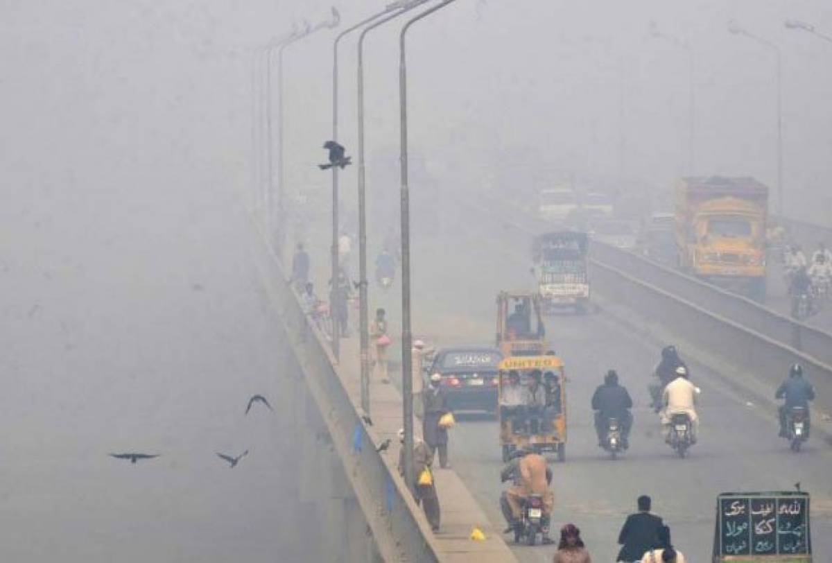 dense-fog-disrupts-road-traffic-in-parts-of-punjab