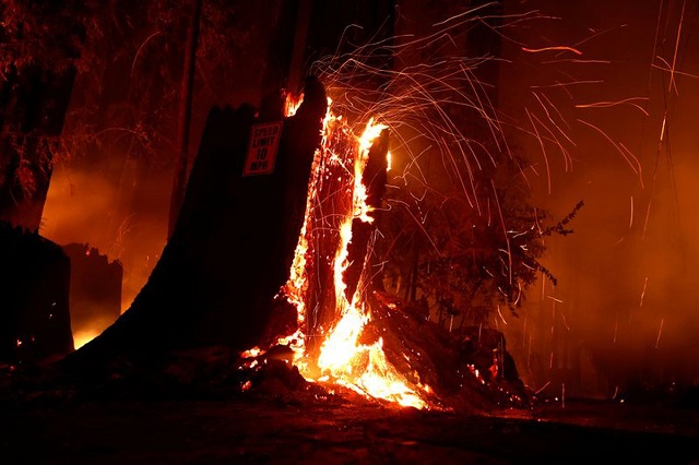fire-gutted-cloth-godown-in-faisalabad