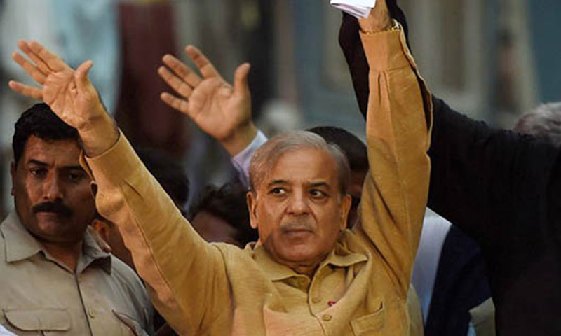 lhc-three-member-bench-unanimously-approves-shehbaz-sharif-s-bail
