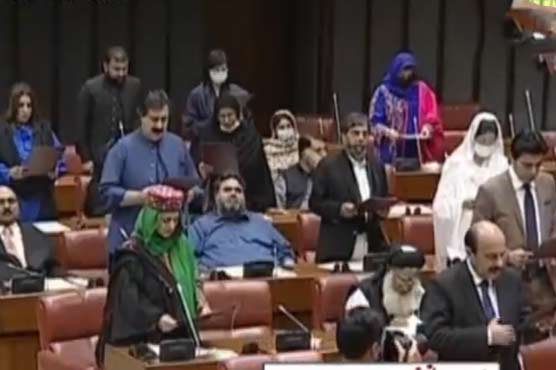 newly-elected-senators-take-oath