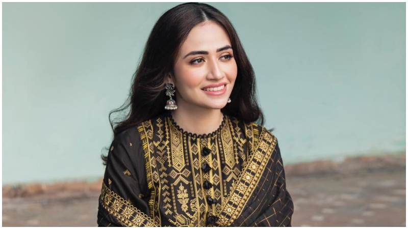 no-evidence-found-of-planned-smear-campaign-against-sana-says-fia