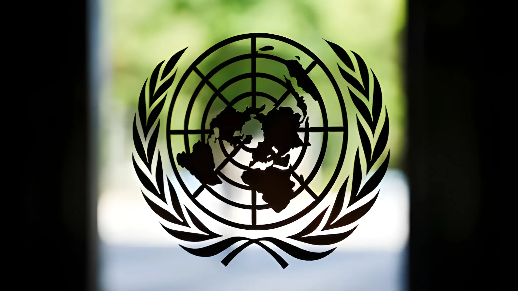 One million women lose aid access: UN