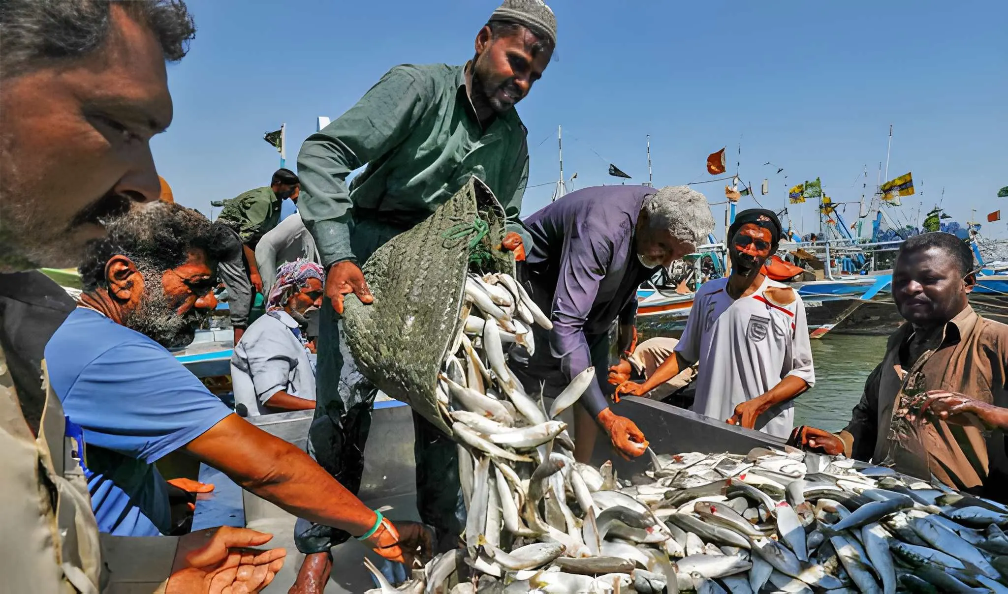 Pakistan seafood exports hit record $568m