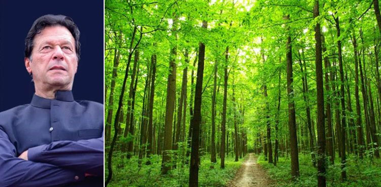 pm-khan-to-inaugurate-world-s-biggest-miyawaki-urban-forest-today