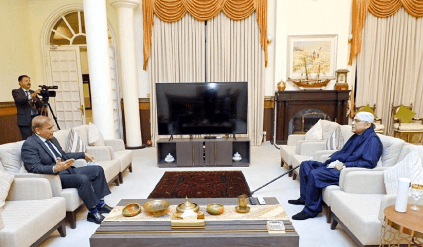 pm-shehbaz-sharif-asif-zardari-discuss-political-situation-key-appointments