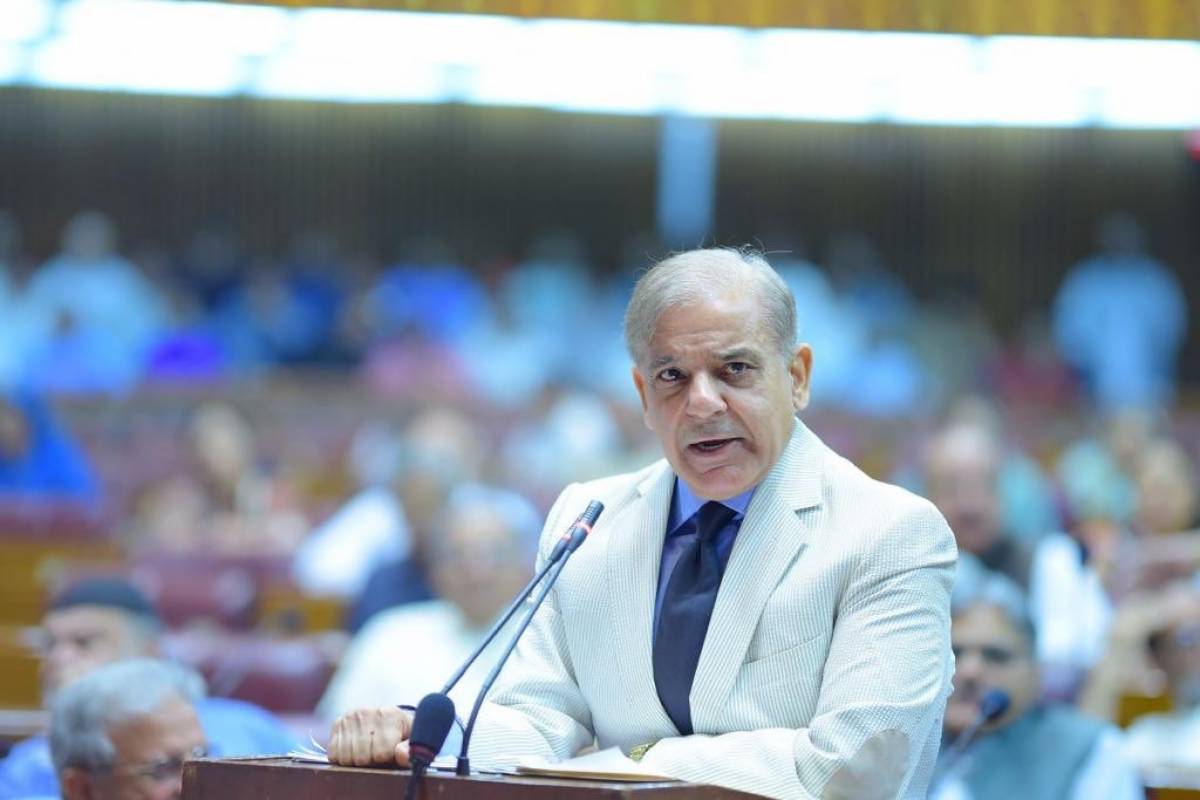 pm-shehbaz-sharif-i-will-work-day-in-day-out-to-revive-damaged-economy