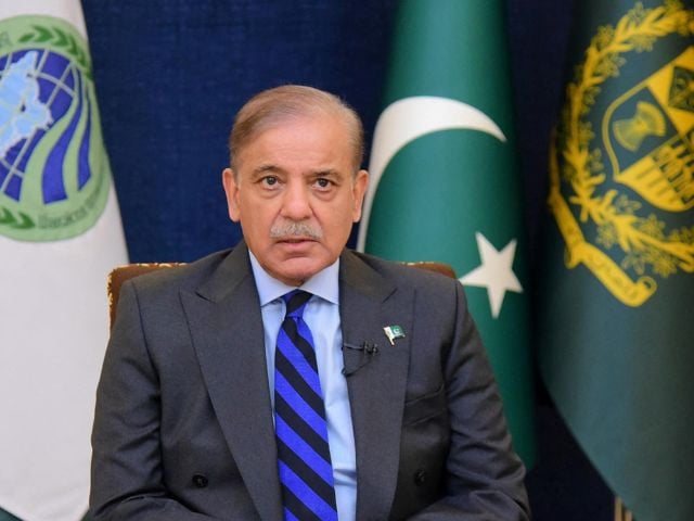 pm-shehbaz-vows-no-compromise-on-pakistan-s-nuclear-program