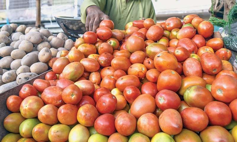 tomato-rates-cross-rs500-per-kg-adding-to-kitchen-budget-woes