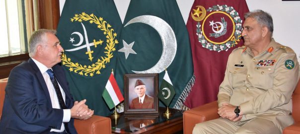 coas-qamar-bajwa-hungarian-envoy-discuss-regional-security