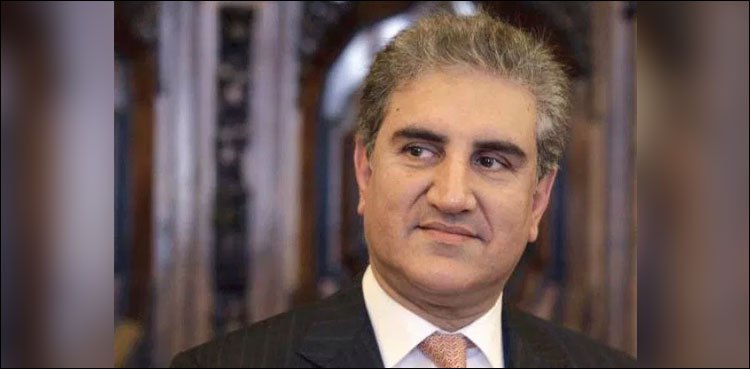 oic-has-accepted-pakistans-stance-on-kashmir-fm-qureshi