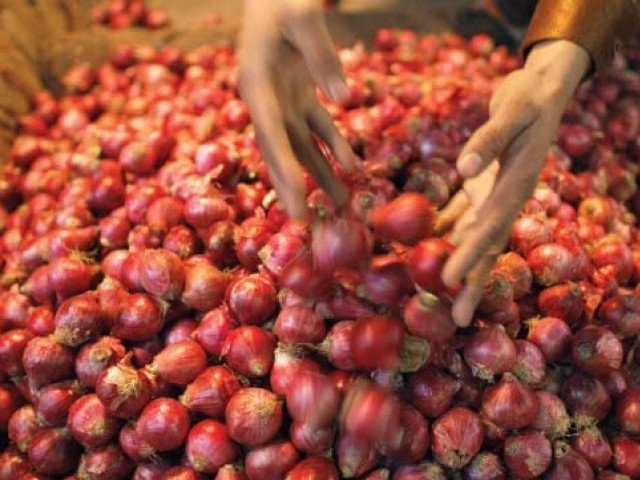 pti-govt-notifies-ban-on-onion-export