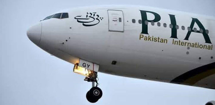air-hostess-lands-in-hot-water