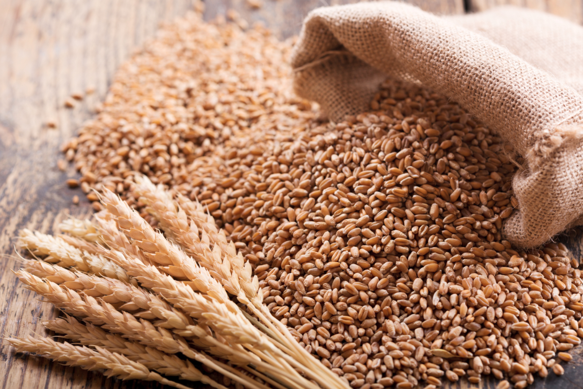 increases-wheat-quota