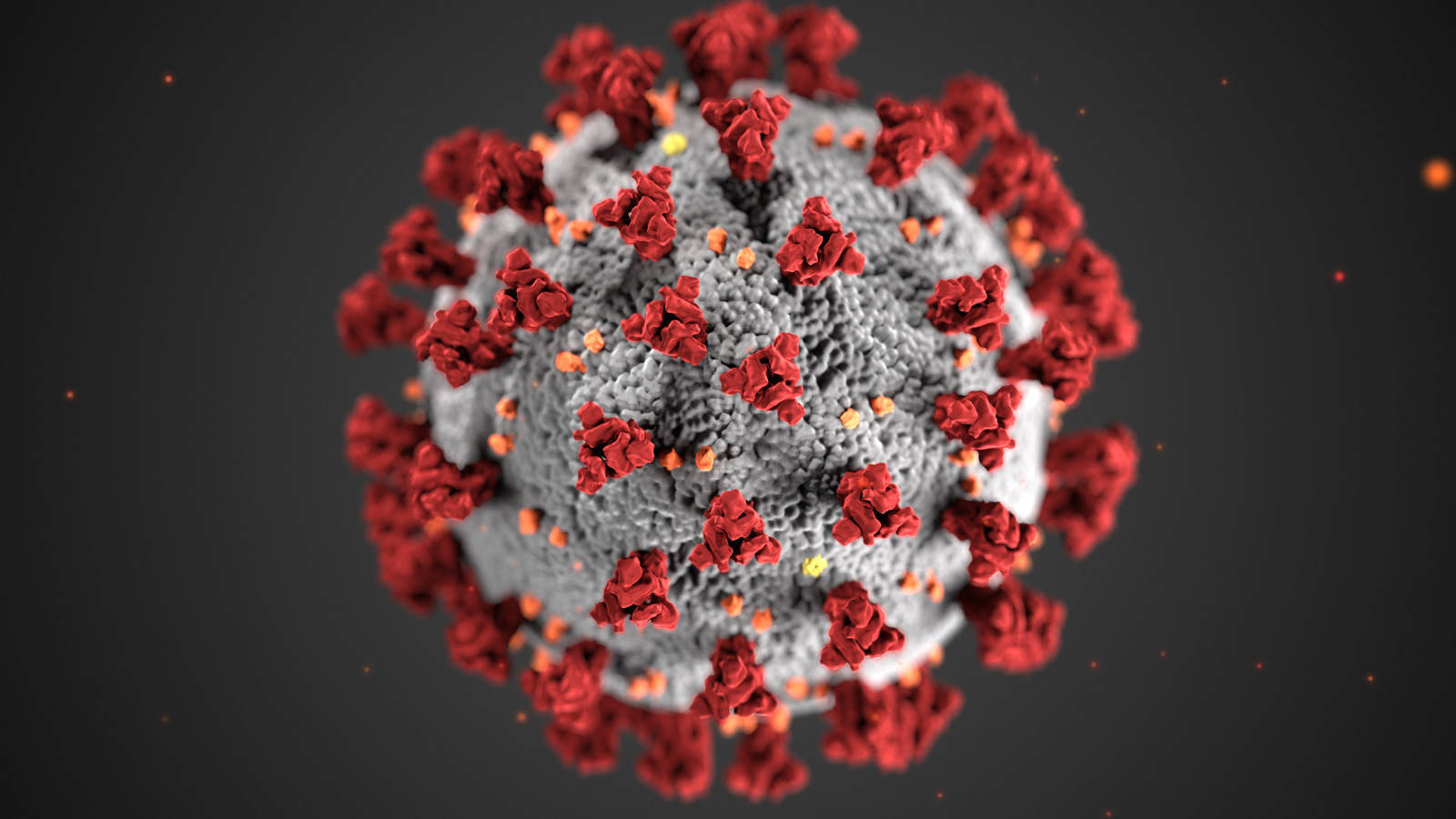 balochistan-records-64-fresh-covid-19-infections-and-one-fatality