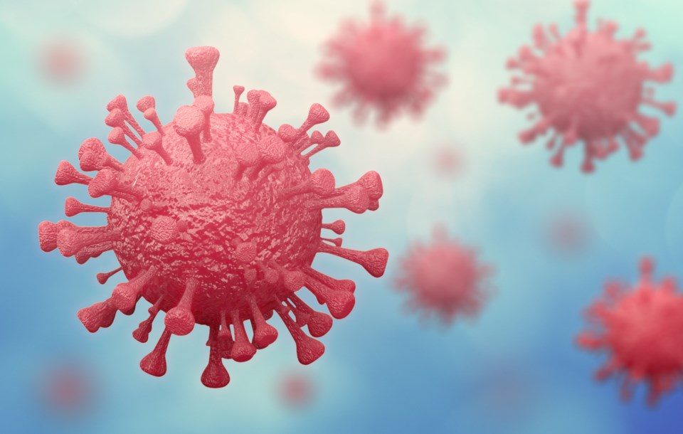 covid-19-over-2500-infections-and-71-deaths-recorded-across-pakistan