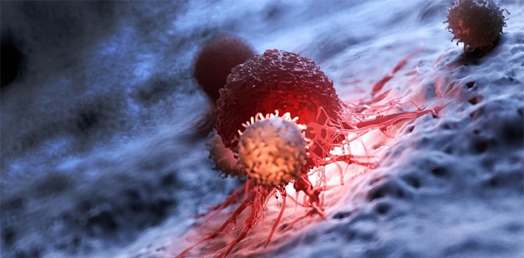 covid-19-reported-2459-infections-and-73-deaths-in-24-hours