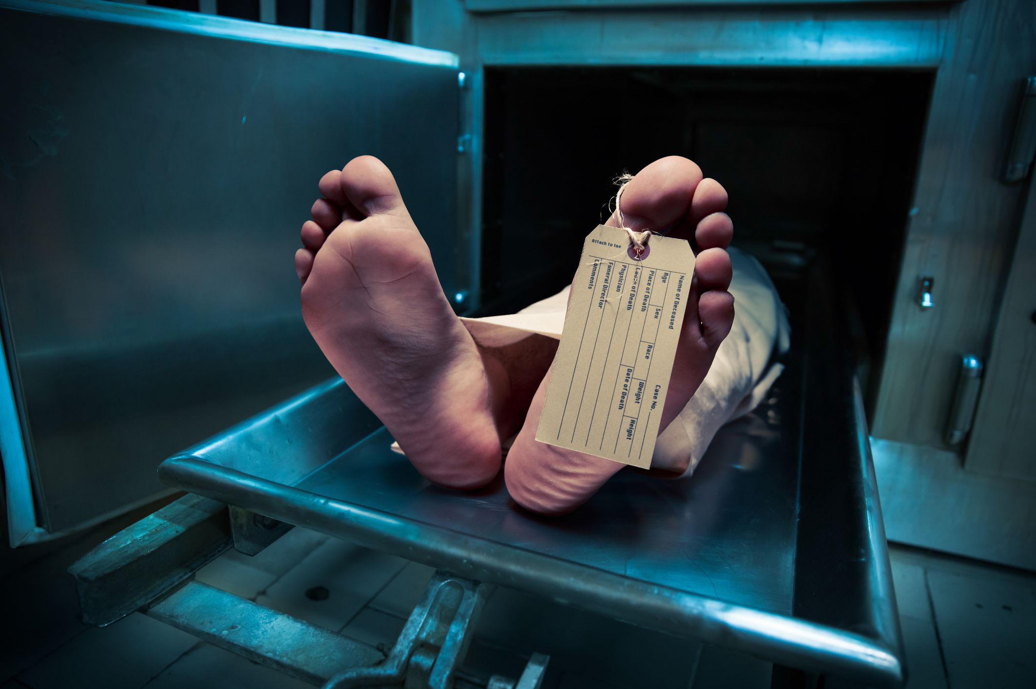 govt-to-develop-software-for-registration-of-unclaimed-bodies-told-lhc
