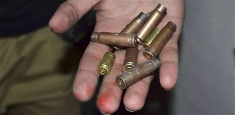 man-commits-suicide-after-killing-his-wife-and-father-in-law