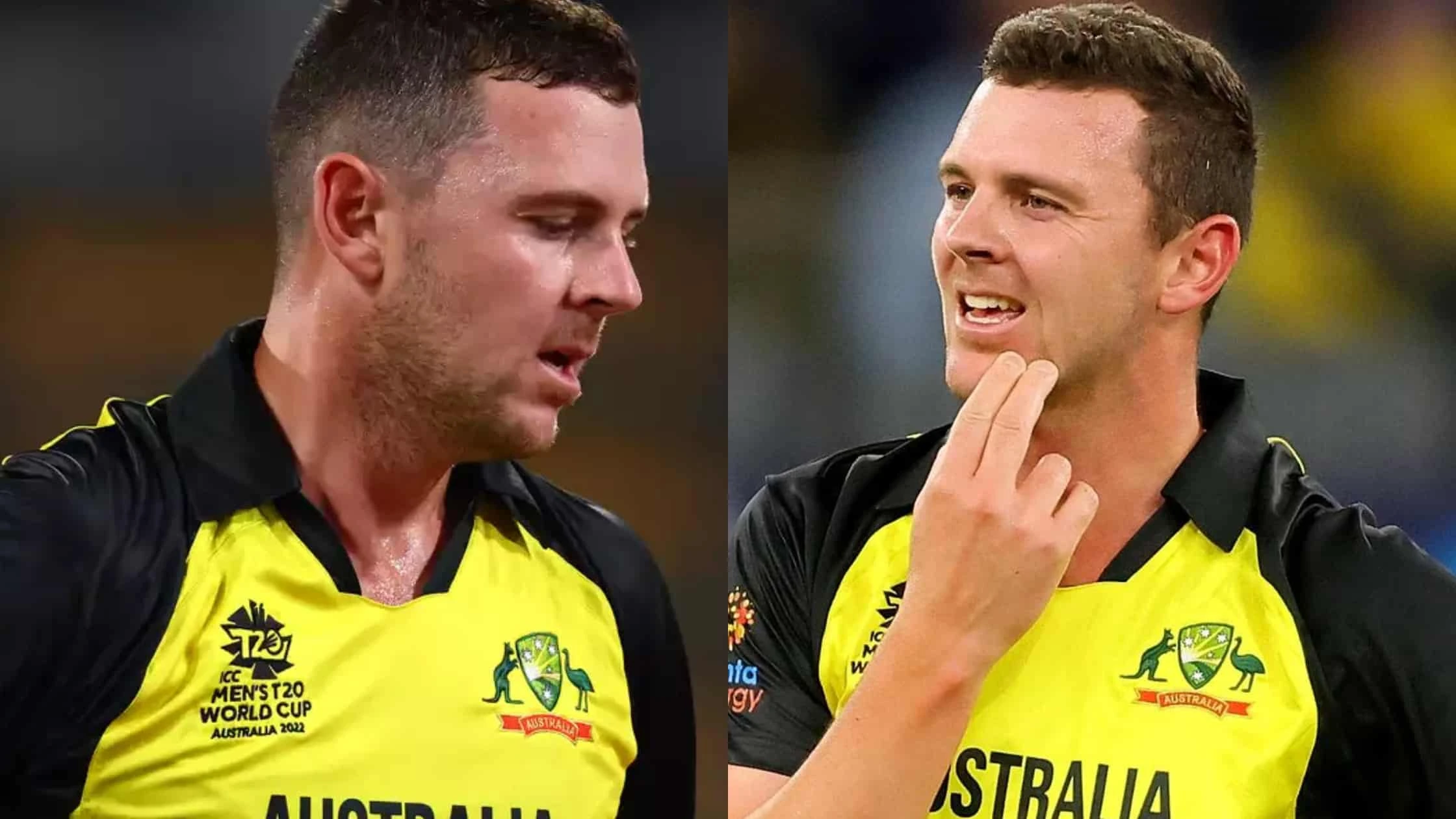 after-cummins-hazlewood-is-also-ruled-out-of-australias-t20-world-cup-squad