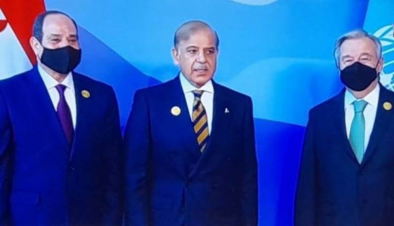 collective-efforts-necessary-to-deal-with-climate-change-effects-says-pm-shehbaz-sharif