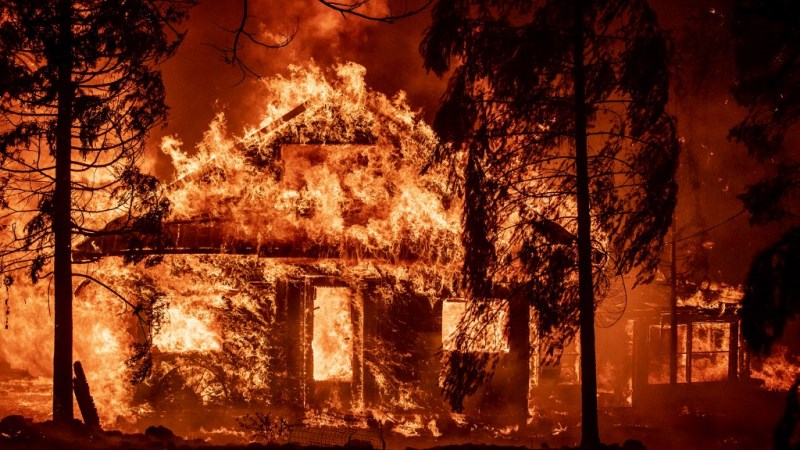 deadly-summer-of-extreme-weather-as-climate-change-bites