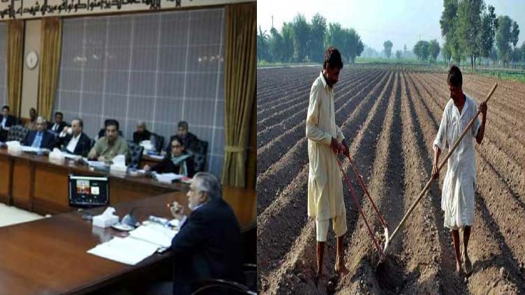 ecc-approves-kissan-package-to-facilitate-farmers