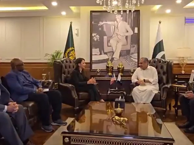 mohsin-naqvi-meets-acting-us-envoy-to-discuss-security-arrangements-for-second-islamabad-talks-round