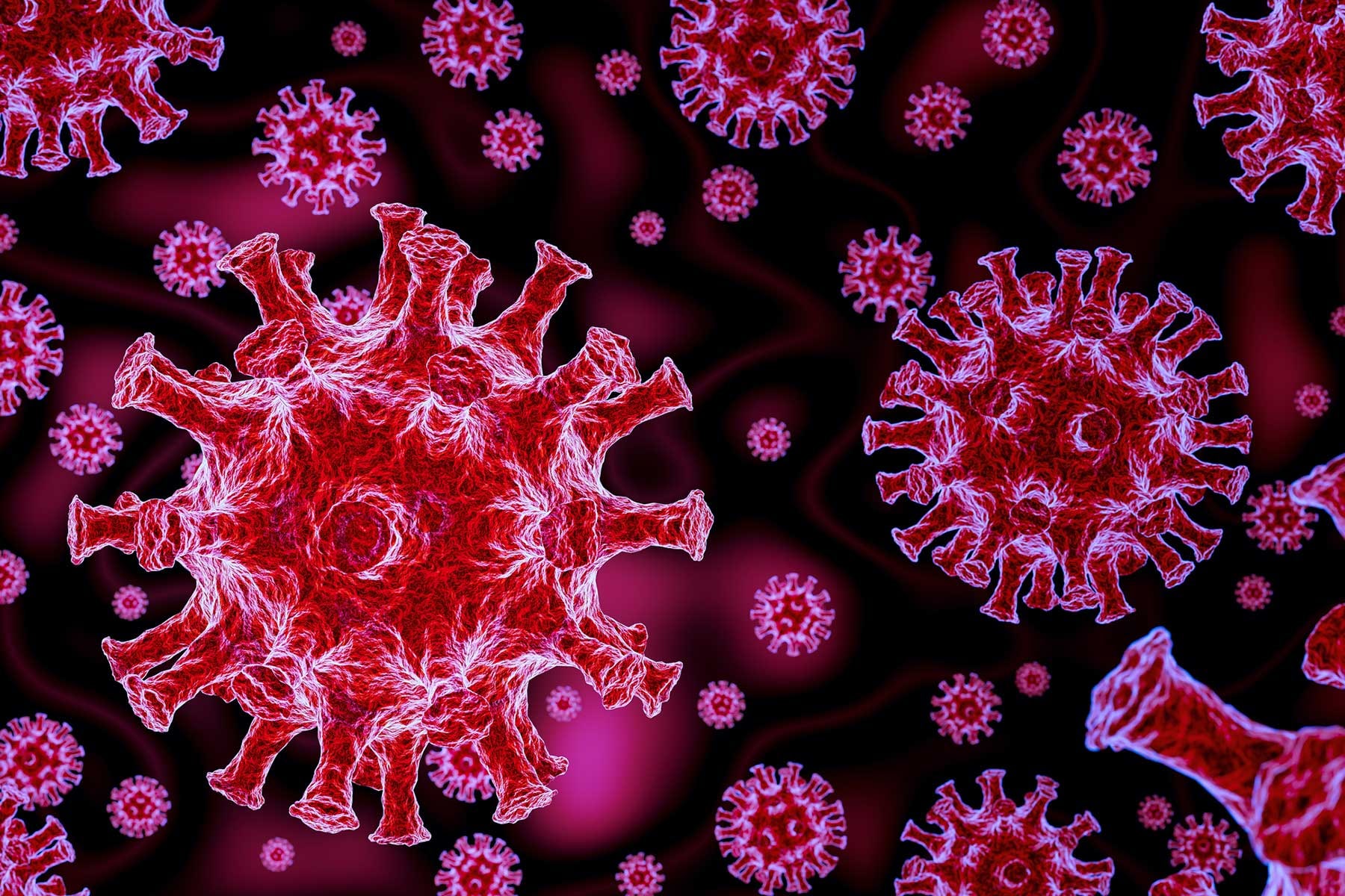 pakistan-reports-838-coronavirus-cases-59-deaths-in-24-hours