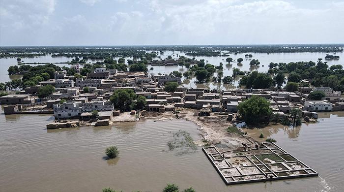 pakistan-will-have-to-adapt-to-floods-as-the-new-normal