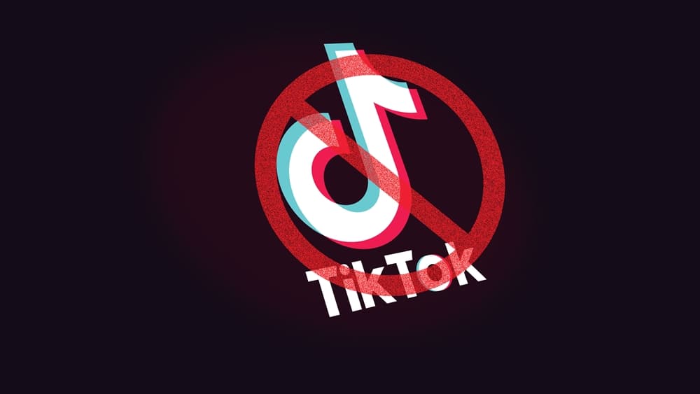 pta-s-reply-sought-in-case-against-tiktok-ban-social-media-rules