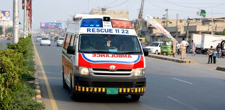seven-including-women-children-killed-in-car-truck-collision