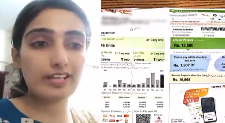 video-of-karachi-woman-worried-about-rising-inflation-goes-viral