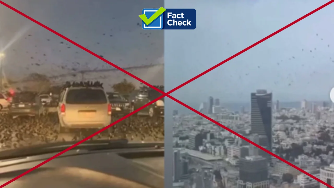 viral-crow-swarm-video-misleading-actually-filmed-in-texas-not-tel-aviv