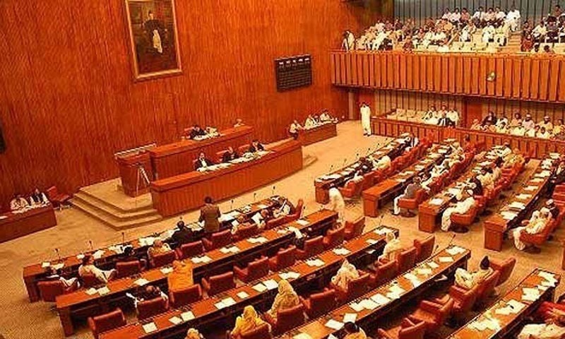 senate-body-tells-govt-to-bring-tribal-districts-at-par-with-developed-areas