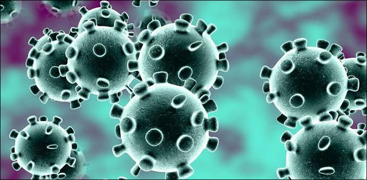 hong-kong-scientists-claim-to-develop-coronavirus-vaccine